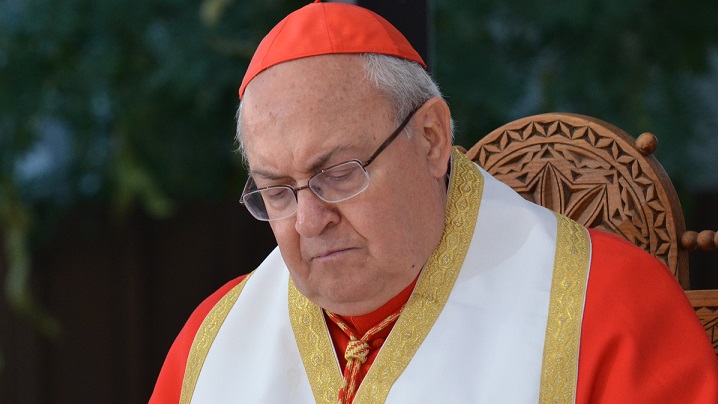 Lucrarea „Oriente cattolico" dăruită Papei Francisc de Cardinalul Sandri