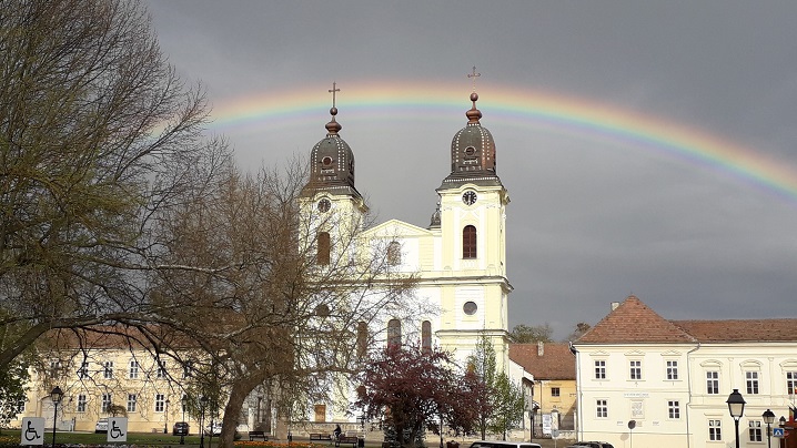 Curs adresat preoților despre pastorația familiei