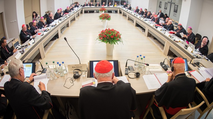 Voluntariatul, "un capital plin de viaţă al Bisericilor noastre": Episcopii CCEE la Poznan