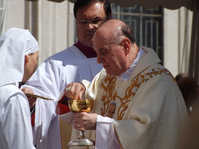 Sfinte Liturghii de mulțumire pentru canonizarea lui Ioan al XXIII-lea și Ioan Paul al II-lea