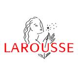 Dicționarul Larousse schimbă definiția căsătoriei, pentru a fi ”politiquement correct”.