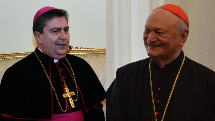 Mesajul Nunțiului Apostolic în România la aniversarea Cardinalului Lucian