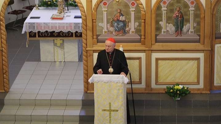 Mesajul Preafericitului Părinte Cardinal Lucian la Alba Iulia