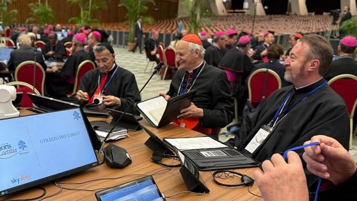PF Claudiu participă la Roma la întâlnirea sinodală convocată de Papa Leon