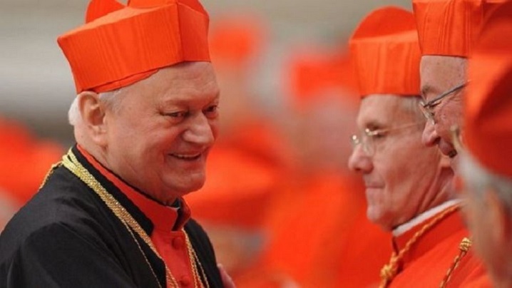 Ridicarea la demnitatea de cardinal a PF Lucian (10 ani)