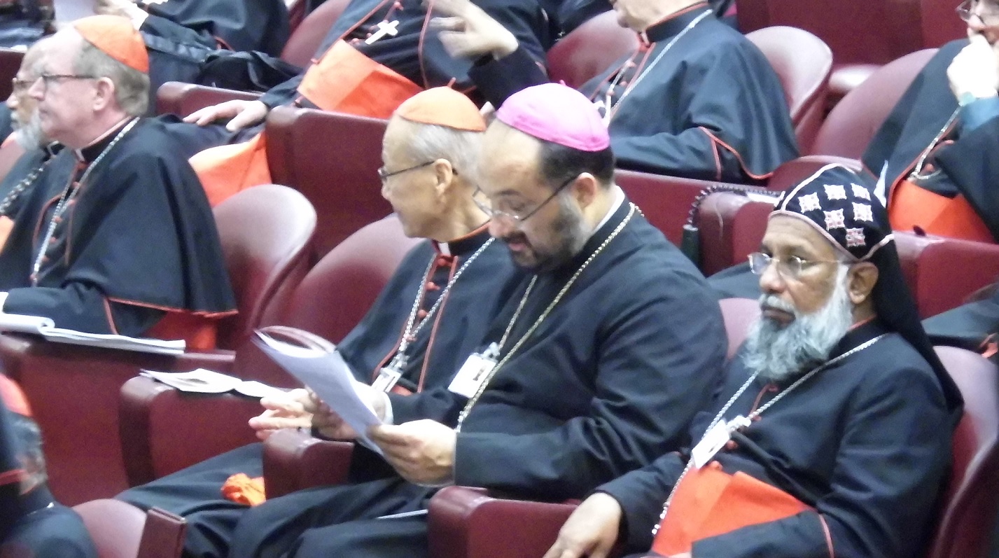 Pr. Federico Lombardi, despre Sinodul dedicat Familiei